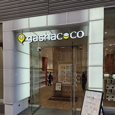 gashacoco 나고야 제로 게이트