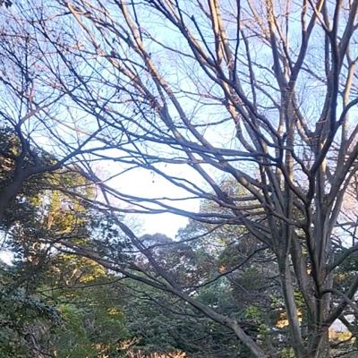 Motomachi Park