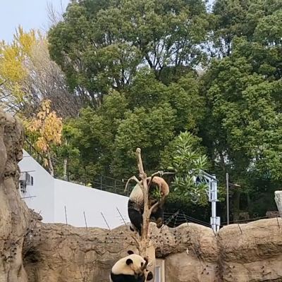 우에노 동물원