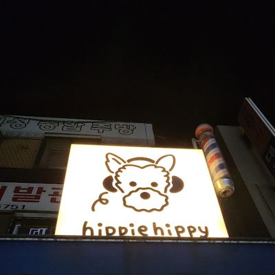 히피히피 lp바