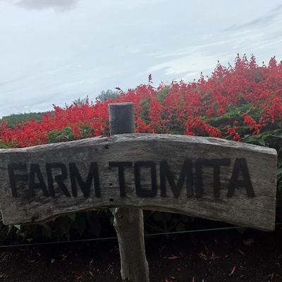 Farm Tomita