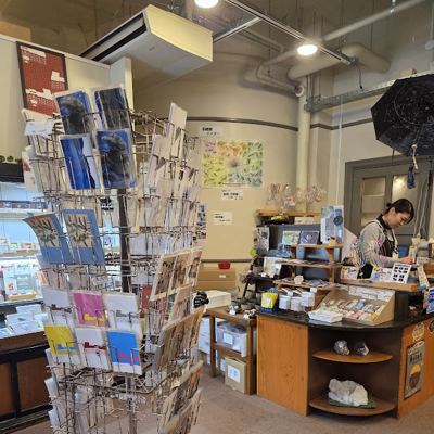 北海道大学総合博物館 ミュージアムショップ ぽとろ